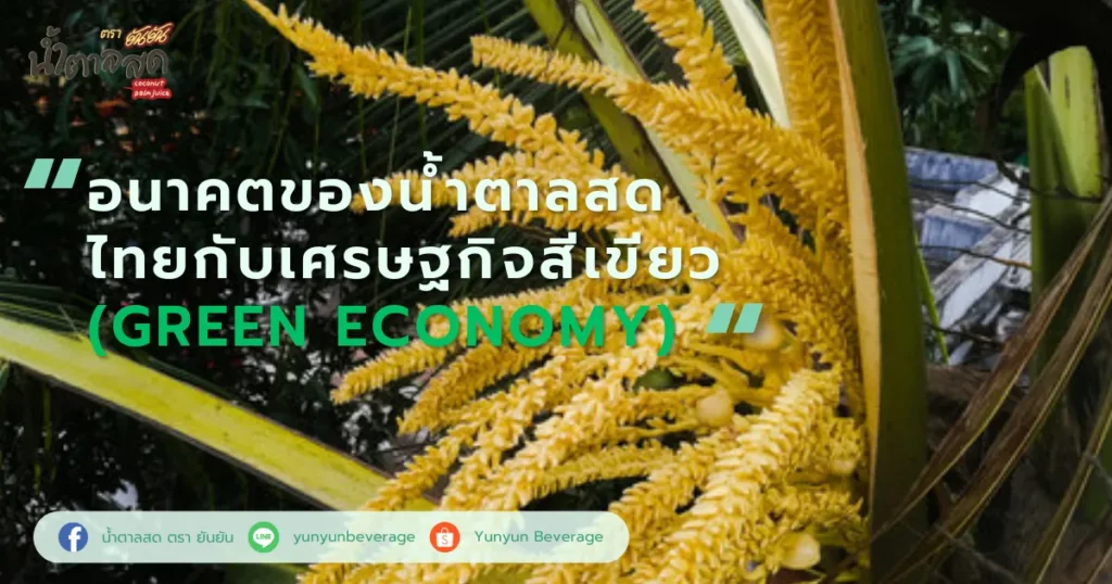 อนาคตของน้ำตาลสดไทยกับเศรษฐกิจสีเขียว