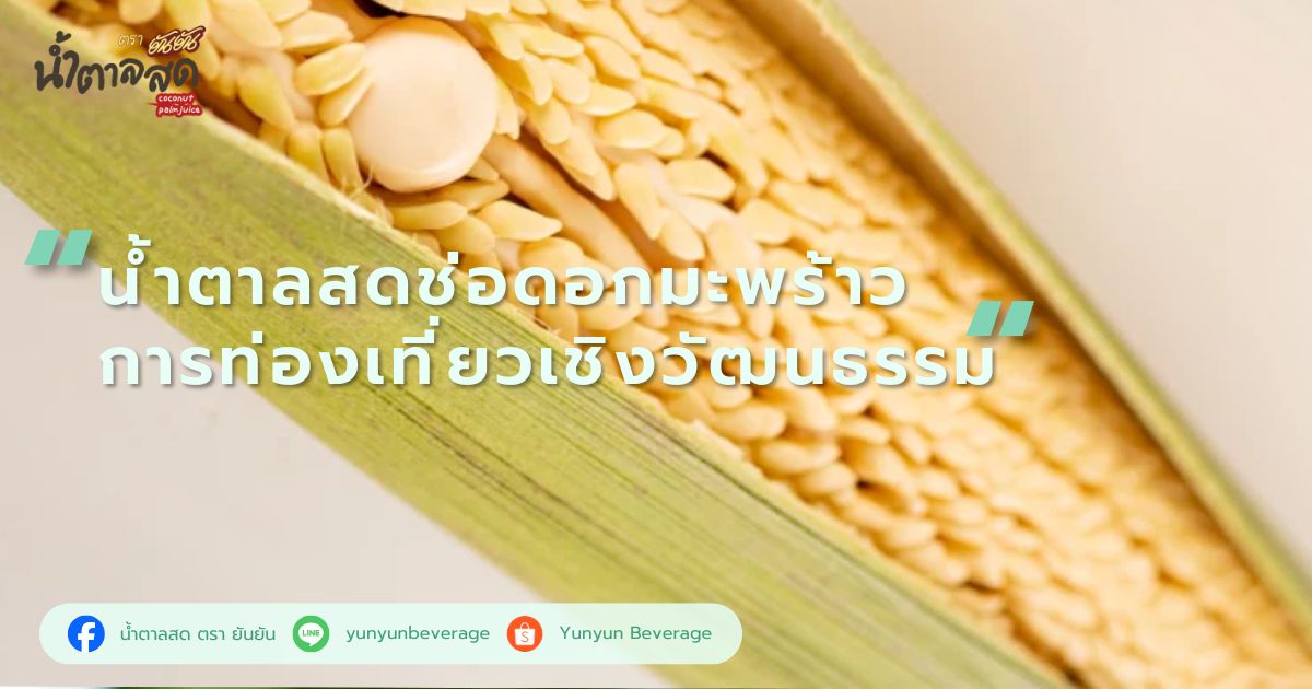 น้ำตาลสดช่อดอกมะพร้าว การท่องเที่ยวเชิงวัฒนธรรม